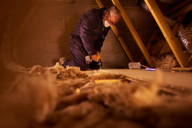 Types of Insulation We Offer in Bodega Bay, CA